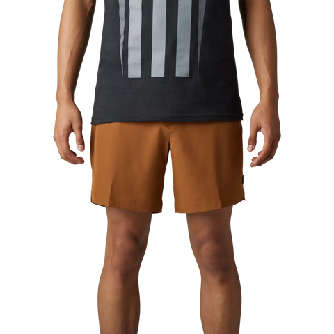 Essex Volley Solid Shorts