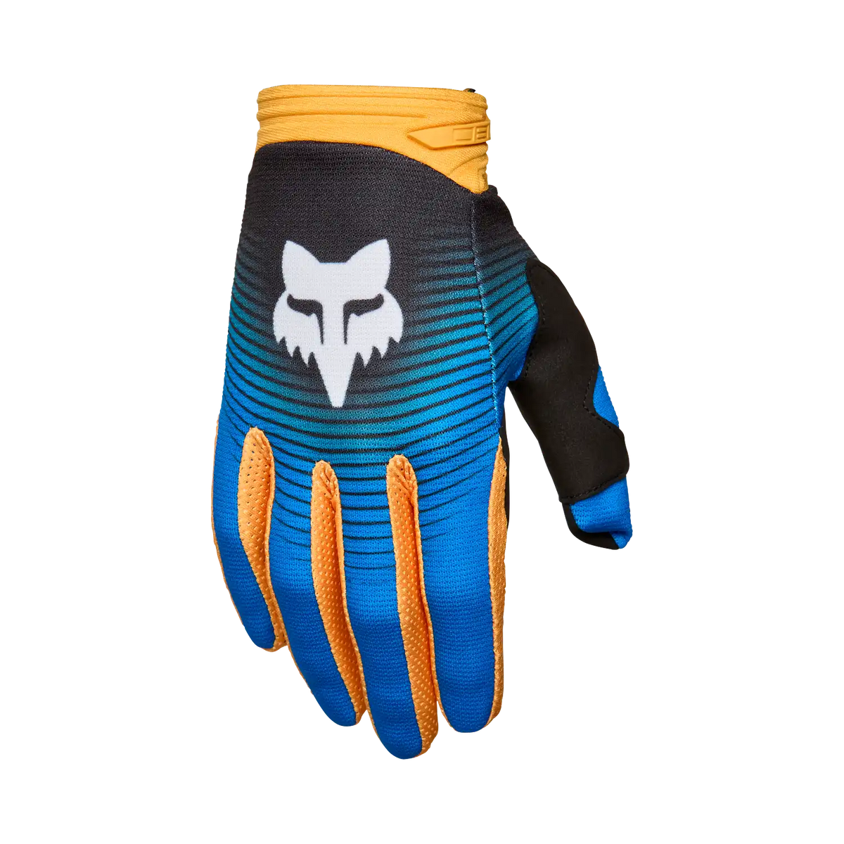 180 Collect Gloves