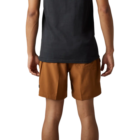 Essex Volley Solid Shorts