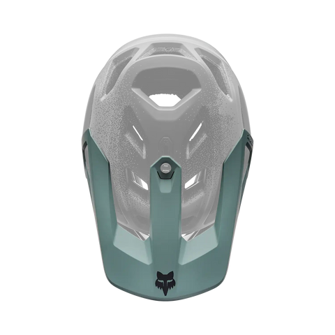 Proframe RS Aura Visor
