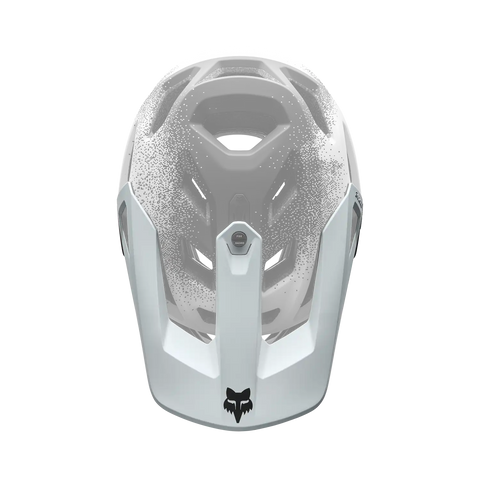 Proframe RS Aura Visor